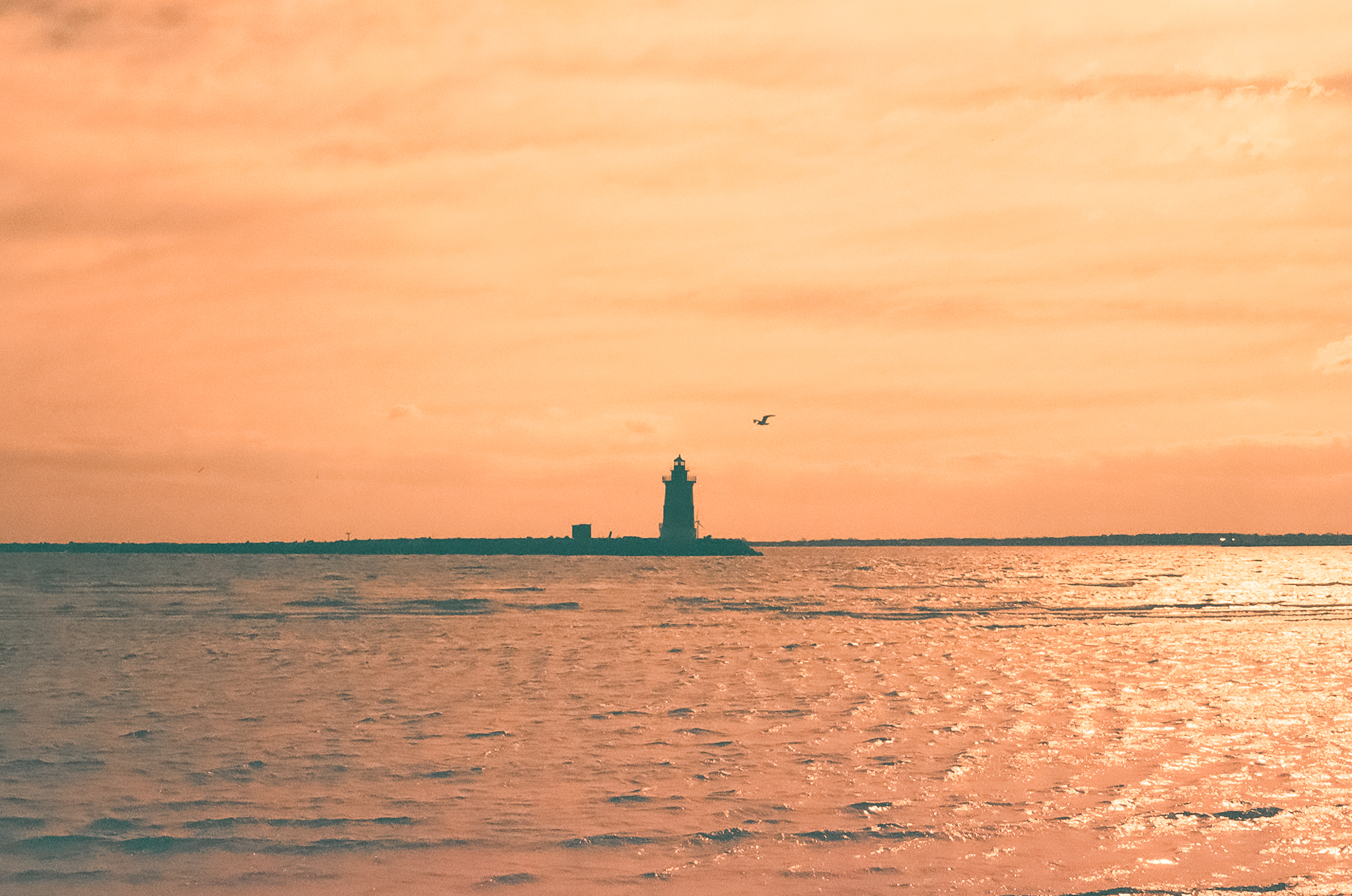 a beacon. hope.